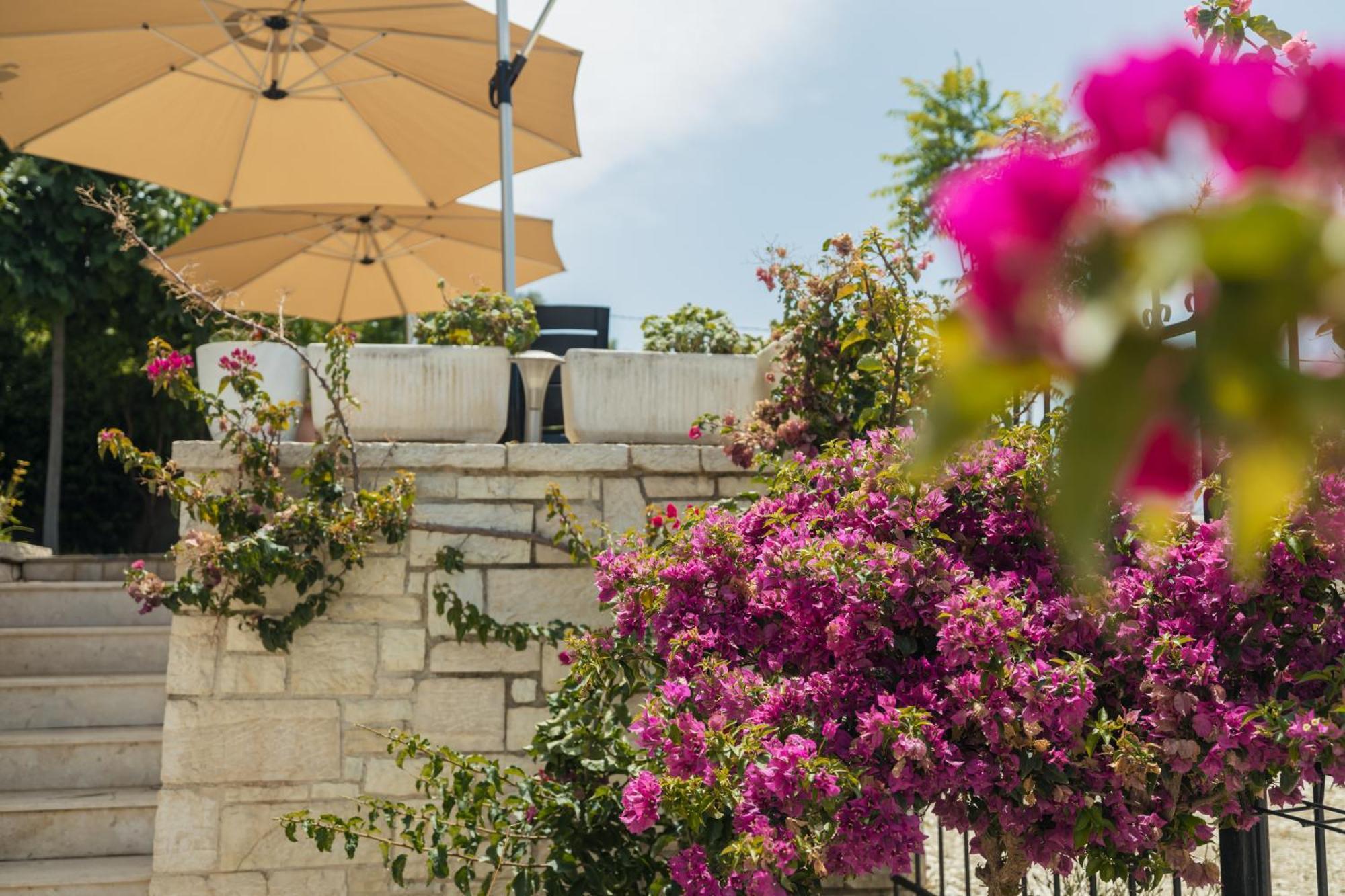 Voyage Villa Vlore Exterior photo